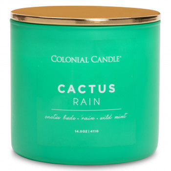 SVEĆA MIRISNA COLONIAL CACTUS RAIN 411g CC123747 